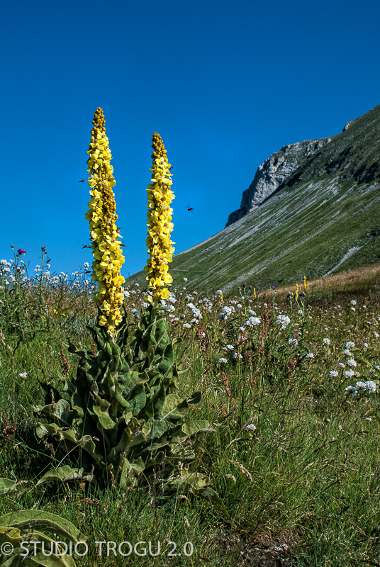 Photography & Project by fototrogu.com